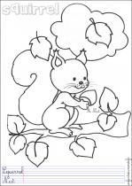 coloriage-ecureuil-2
